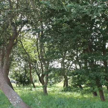 Villa-josefin בית נופש דה האן