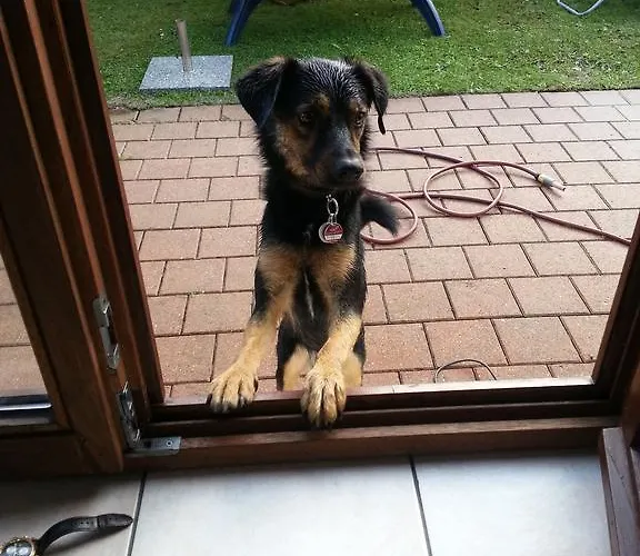 Villa-josefin 別荘 デ ハーン